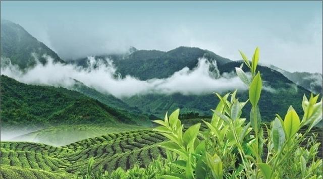 天台山文化2-1.jpg