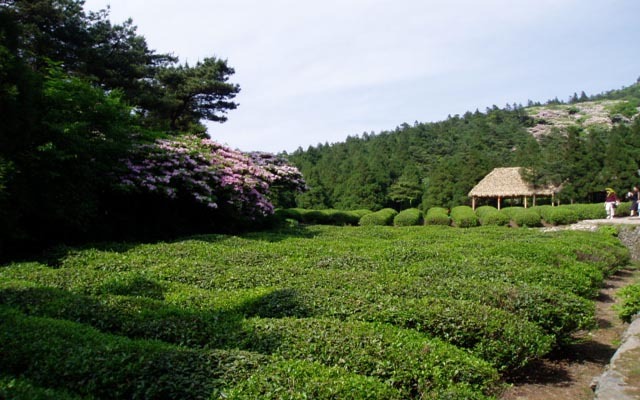 clip_image002.jpg
