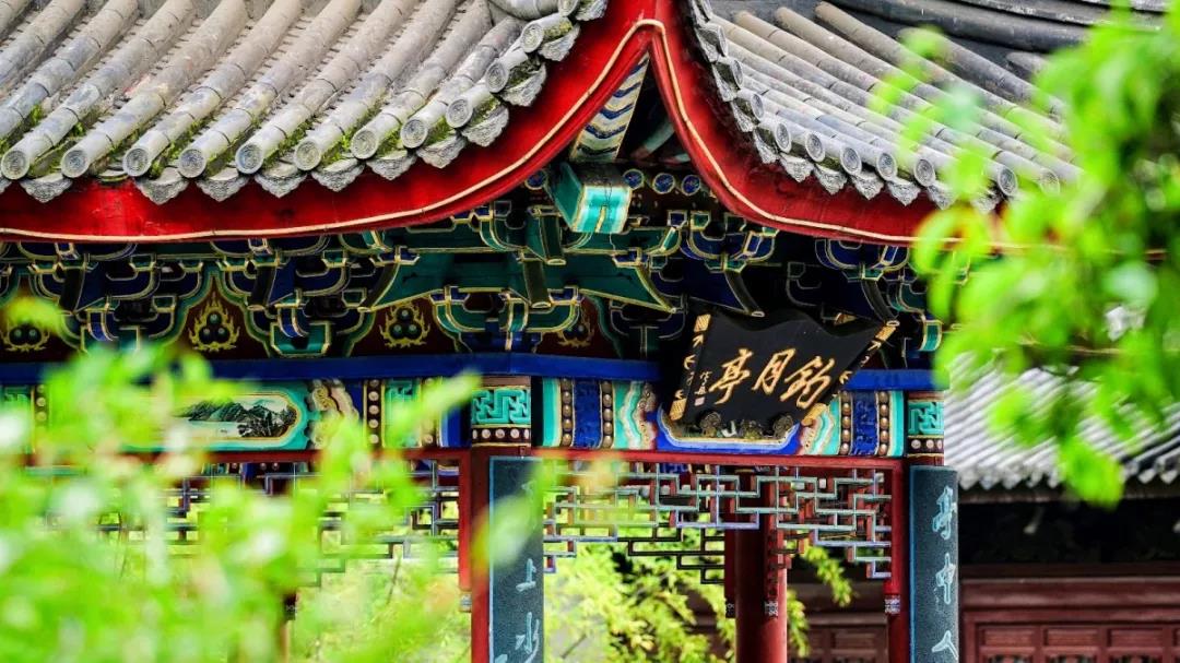 公告图3-20.jpg