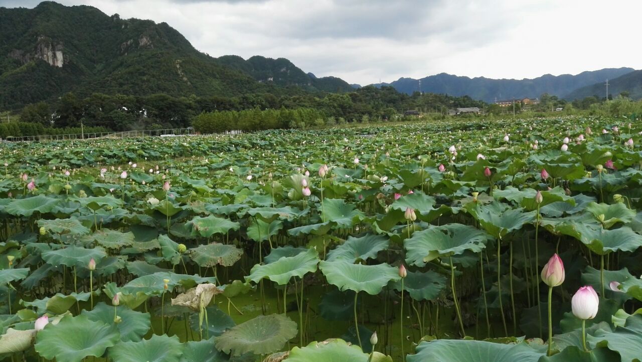 游记2-2.2.jpg