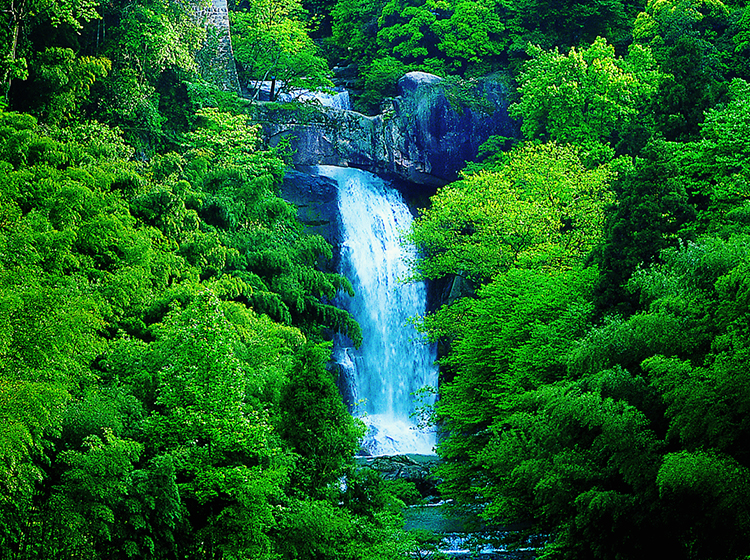 游记4-2.jpg 游记4-2.jpg