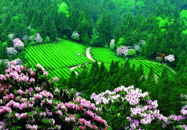 线A-图3.jpg 线A-图3.jpg