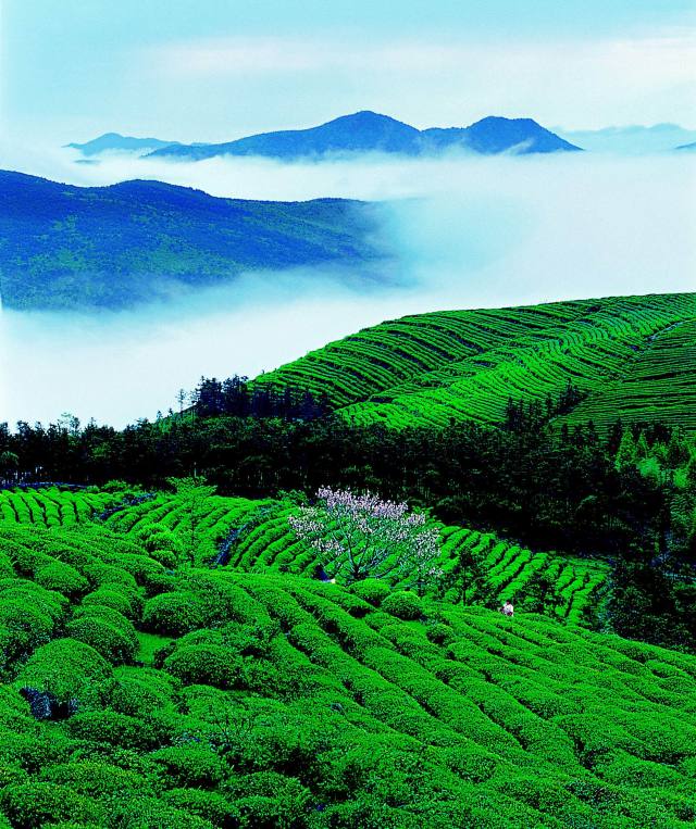 线A-图4.jpg 线A-图4.jpg